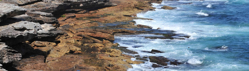 Lilly's Blog
